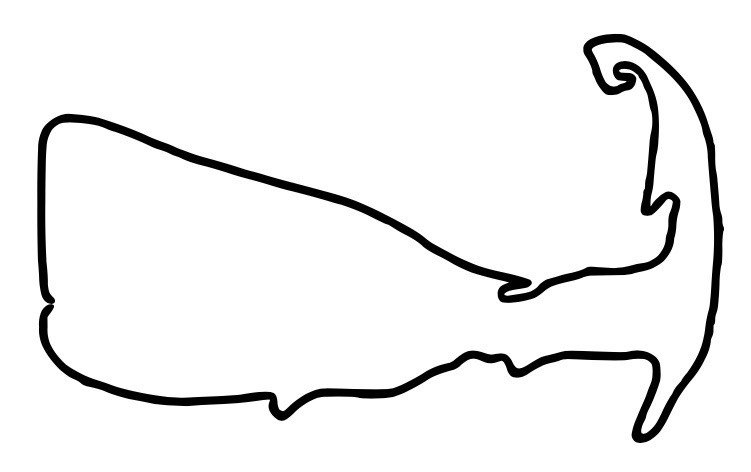 Cape Cod Whale Company